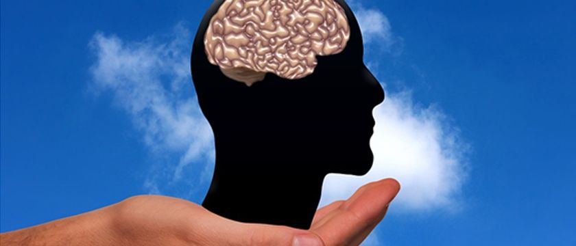 nutrifacil málaga cerebro