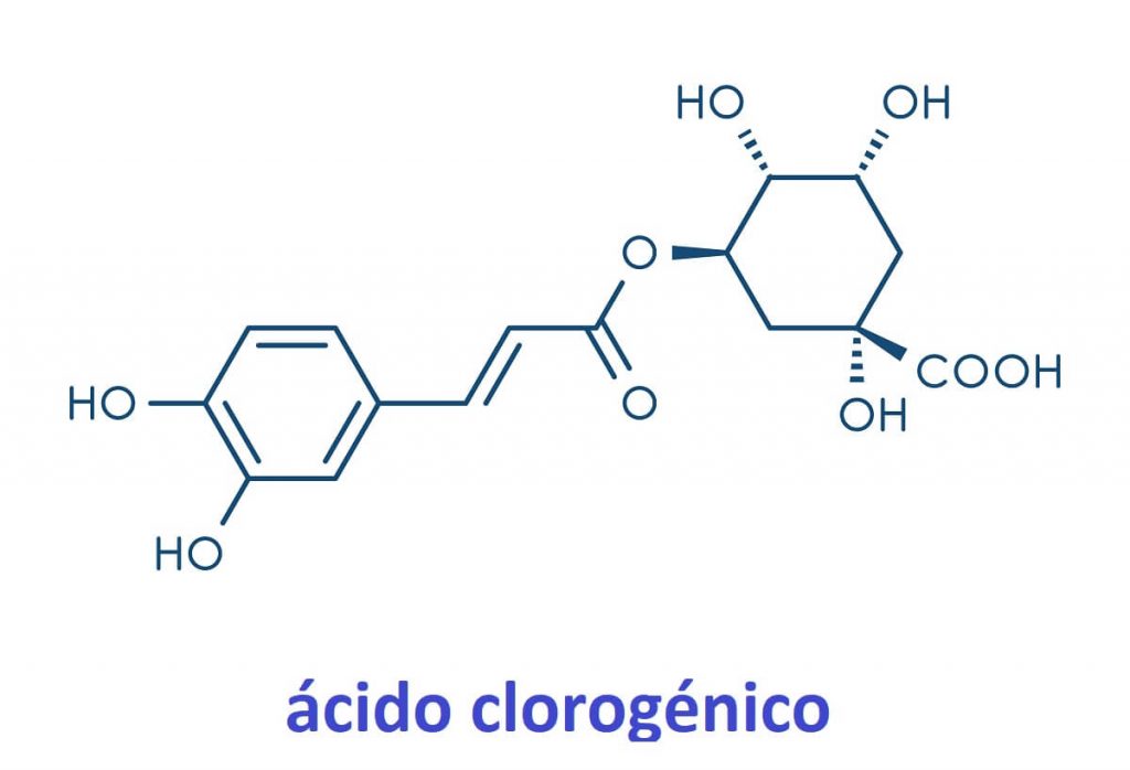 Ácido clorexigénico presente en el café verde
